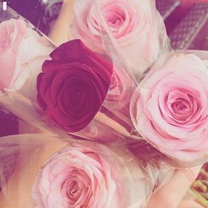 Meet your Posher, Ashley